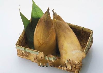 浙江蔣山竹筍_浙江蔣山竹筍的介紹_浙江蔣山竹筍的圖片